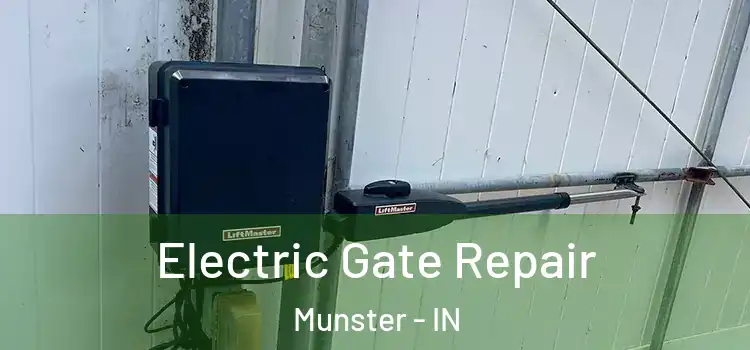  Electric Gate Repair Munster - IN
