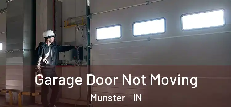  Garage Door Not Moving Munster - IN