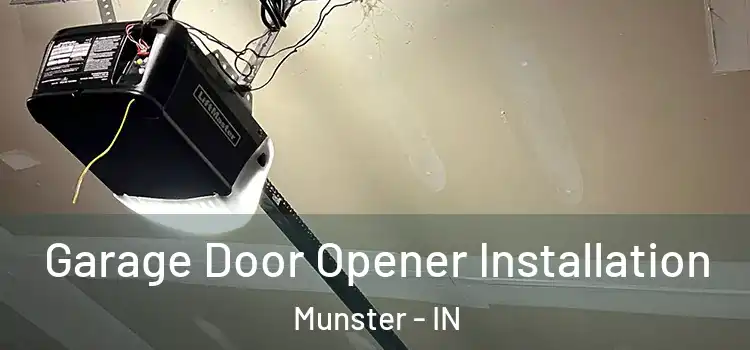  Garage Door Opener Installation Munster - IN