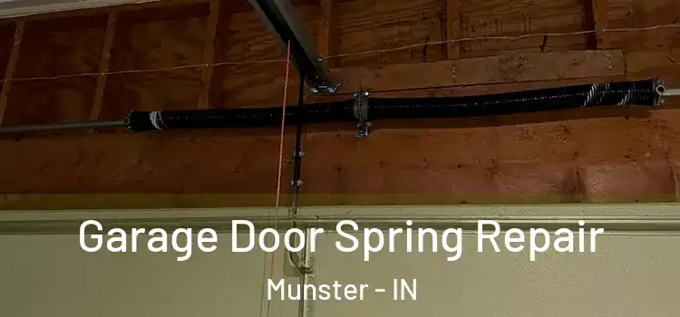  Garage Door Spring Repair Munster - IN
