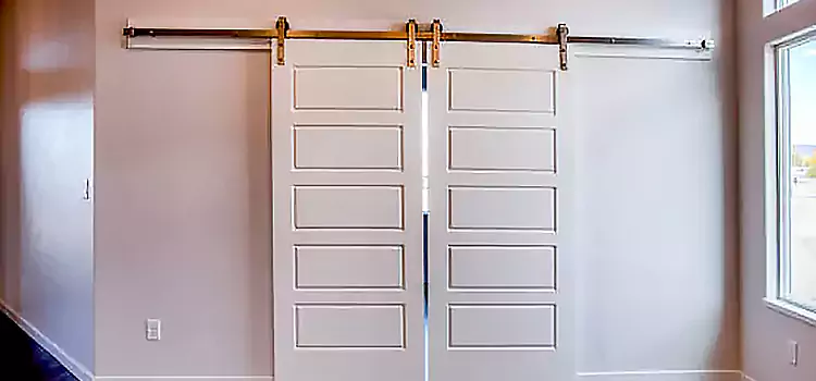 Glass Barn Door with Installation Hardware Kit Munster