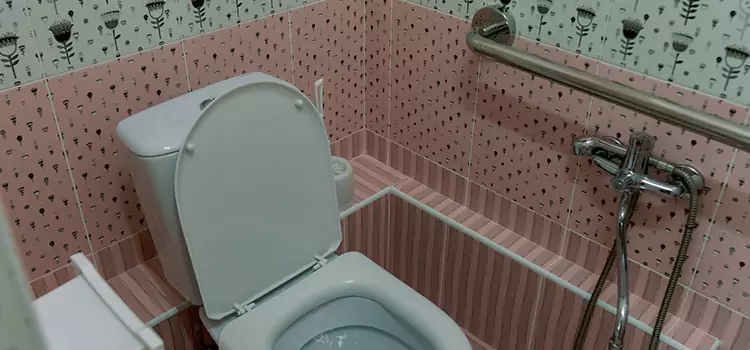 Meeting Diverse Needs With Accessible Restroom Solutions in Munster, IN