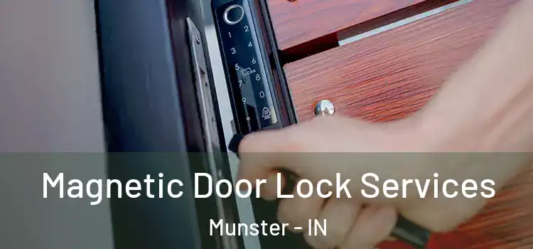  Magnetic Door Lock Services Munster - IN