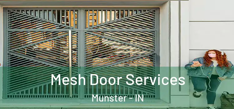  Mesh Door Services Munster - IN