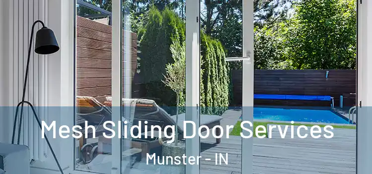  Mesh Sliding Door Services Munster - IN