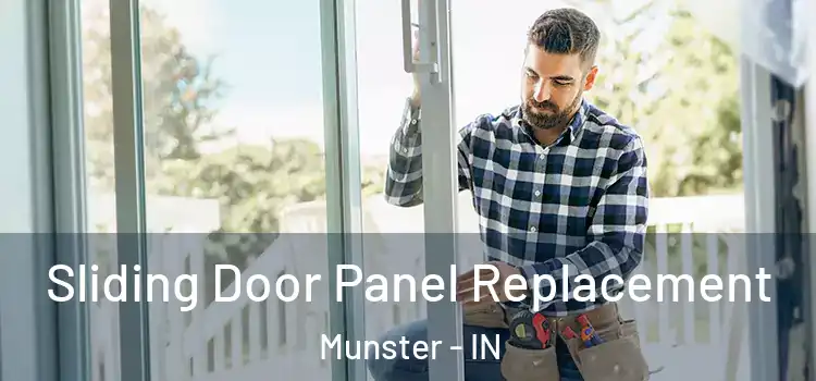 Sliding Door Panel Replacement Munster - IN